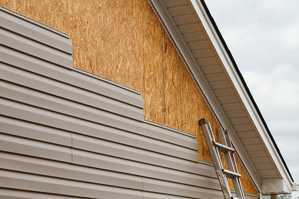 Professional Siding Repair technician working in Ahoskie, NC